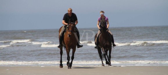 21 room House in Friesland, Germany No. 195095 24