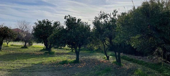 Земельный участок 950м² в Борджа, Италия № 94145 8