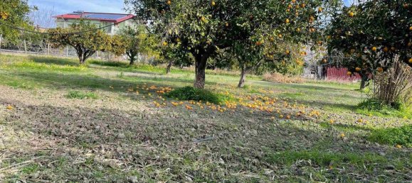 Земельный участок 950м² в Борджа, Италия № 94145 11