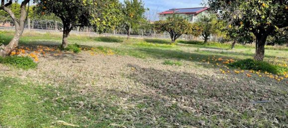 Земельный участок 950м² в Борджа, Италия № 94145 9