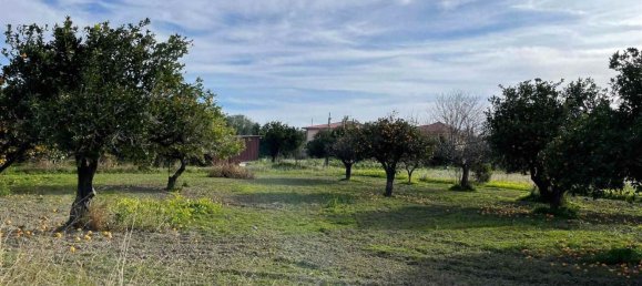 Земельный участок 950м² в Борджа, Италия № 94145 10