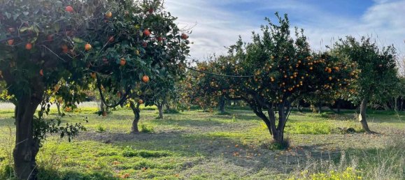 Земельный участок 950м² в Борджа, Италия № 94145 2