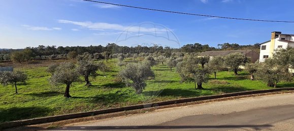 3 Schlafzimmer Haus in Ansiao, Portugal, Nr. 27659 16