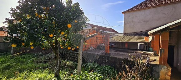 3 Schlafzimmer Haus in Ansiao, Portugal, Nr. 27659 11