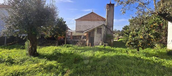 3 Schlafzimmer Haus in Ansiao, Portugal, Nr. 27659 8