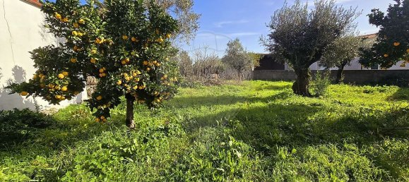 3 Schlafzimmer Haus in Ansiao, Portugal, Nr. 27659 7