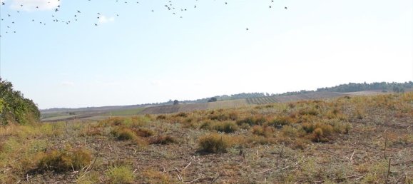 4500m² Hotel in Chalkidiki, Greece No. 2095 3