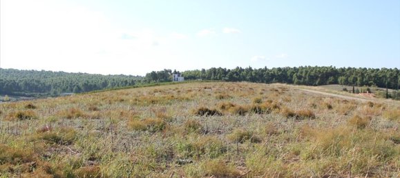 4500m² Hotel in Chalkidiki, Greece No. 2095 4