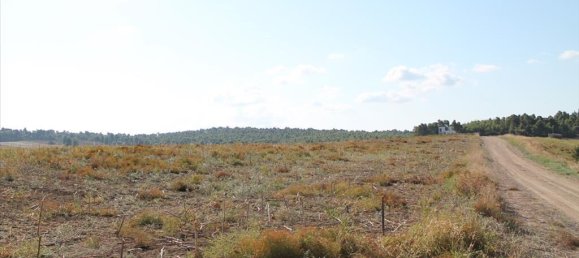 4500m² Hotel in Chalkidiki, Greece No. 2095 2