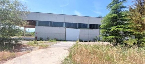 1724m² Warehouse in Giuliano Teatino, Italy No. 375610 6