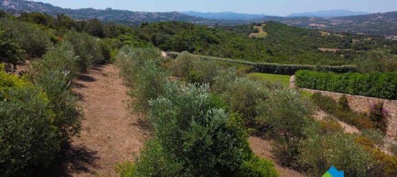 Apartamento de 3 dormitorios en Arzachena, Italy No. 60018 12