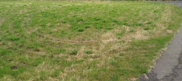  Land in Yssingeaux, France No. 288874 2