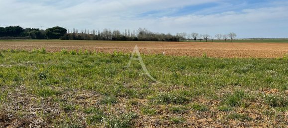 Grundstück in Vendee, France, Nr. 303546 2