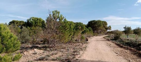  قطعة أرض في Biar, Spain 21300متر مربع رقم 147820 7