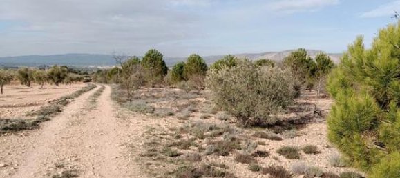  قطعة أرض في Biar, Spain 21300متر مربع رقم 147820 8