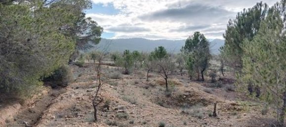  قطعة أرض في Biar, Spain 21300متر مربع رقم 147820 3