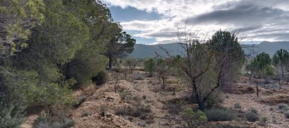  قطعة أرض في Biar, Spain 21300متر مربع رقم 147820 9