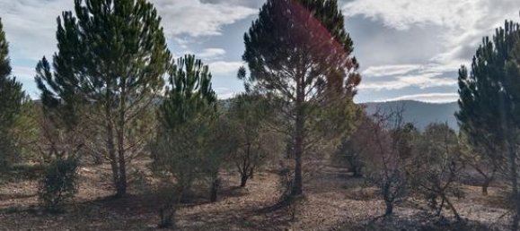  قطعة أرض في Biar, Spain 21300متر مربع رقم 147820 6