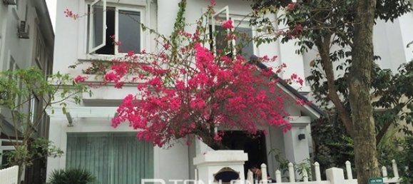 3 Schlafzimmer Villa in Long Bien, Vietnam, Nr. 3136 9