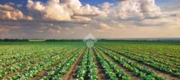 Grundstück in Brescia, Italy 44500m², Nr. 128949 6