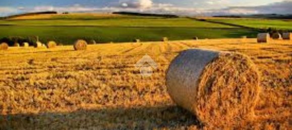 Grundstück in Brescia, Italy 44500m², Nr. 128949 5