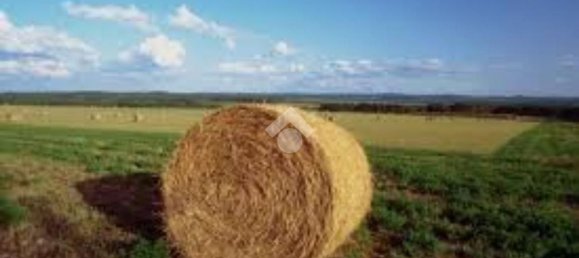 Grundstück in Brescia, Italy 44500m², Nr. 128949 8