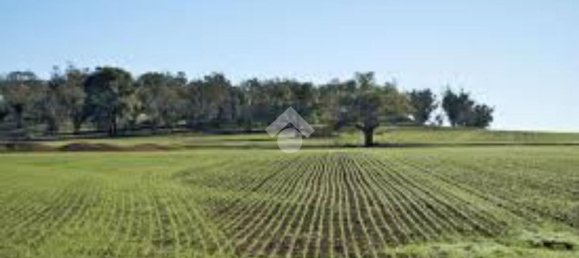 Grundstück in Brescia, Italy 44500m², Nr. 128949 2