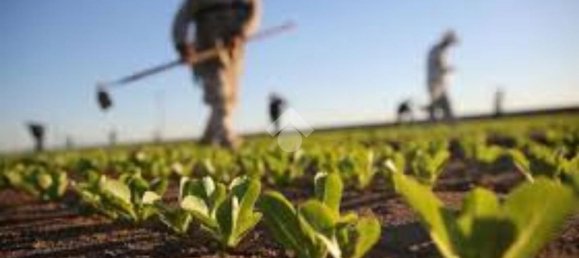 Grundstück in Brescia, Italy 44500m², Nr. 128949 4