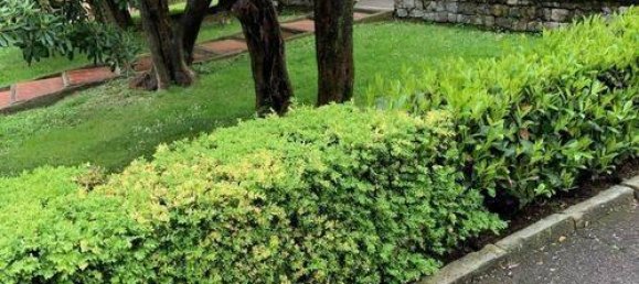 5-Zimmer Penthouse in Rapallo, Italy, Nr. 148425 3