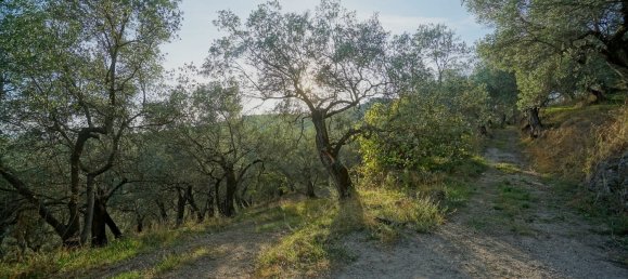 Земельный участок 40000м² в Эболи, Италия № 85825 17