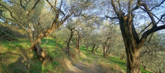 Земельный участок 40000м² в Эболи, Италия № 85825 8