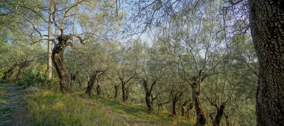 Земельный участок 40000м² в Эболи, Италия № 85825 18