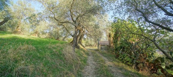 Земельный участок 40000м² в Эболи, Италия № 85825 16