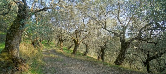 Земельный участок 40000м² в Эболи, Италия № 85825 11