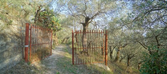 Земельный участок 40000м² в Эболи, Италия № 85825 19