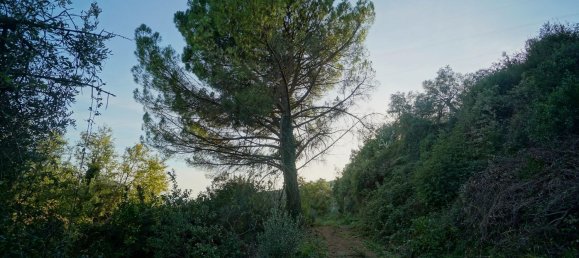 Земельный участок 40000м² в Эболи, Италия № 85825 7