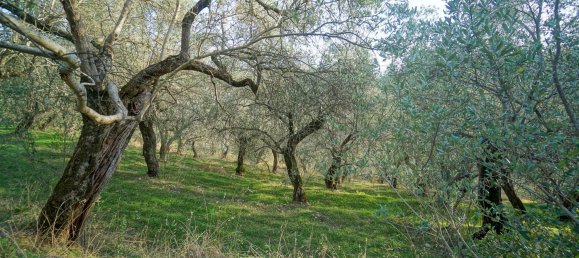 Земельный участок 40000м² в Эболи, Италия № 85825 2