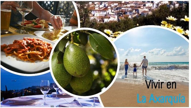  فندق في Alcaucin, Spain رقم 229432