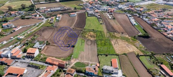 10722m² Commercial property in Matosinhos, Portugal No. 46873 20