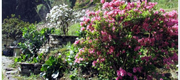 2-salle Maison à Valle Cannobina, Italy No. 166343 16