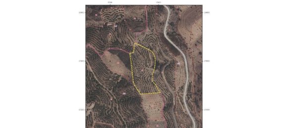 Grundstück in Azinhal, Portugal 65960m², Nr. 43915 3