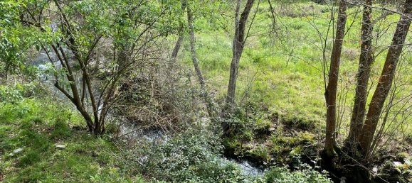 9 bedrooms House in Arganil, Portugal No. 88603 24