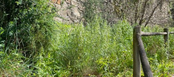 9 bedrooms House in Arganil, Portugal No. 88603 22