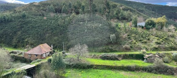 9 bedrooms House in Arganil, Portugal No. 88603 33