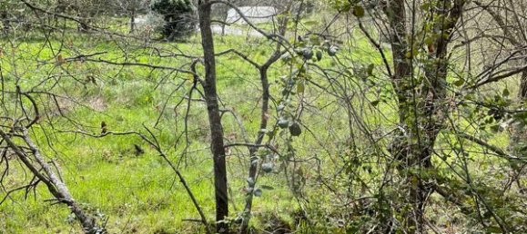 9 bedrooms House in Arganil, Portugal No. 88603 23