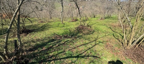 1 room Land in Trabzon, Turkey No. 20783 13