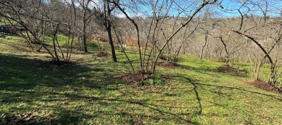 1 room Land in Trabzon, Turkey No. 20783 22