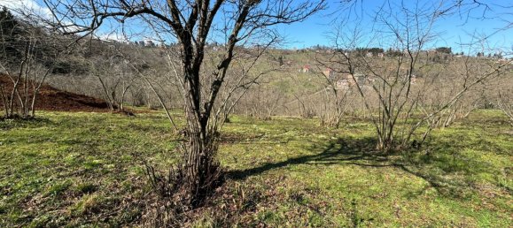 1 room Land in Trabzon, Turkey No. 20783 6