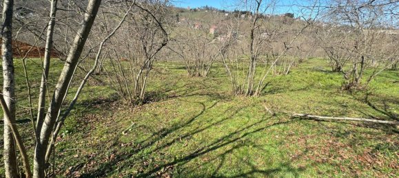 1 room Land in Trabzon, Turkey No. 20783 5