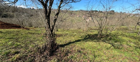 1 room Land in Trabzon, Turkey No. 20783 15